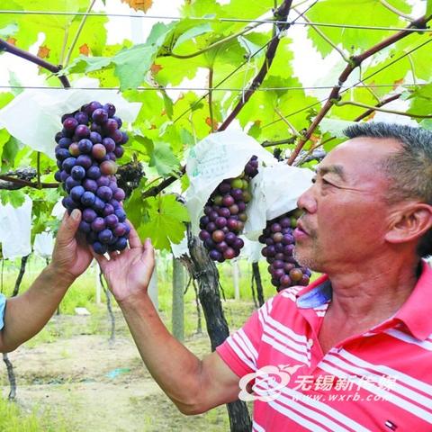 《我的世界》中国版试玩揭秘:探索无限创造新篇章 《我的世界》中国版试玩揭秘:探索无限创造新篇章