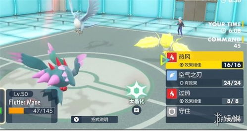 《宝可梦朱紫》晴天固拉多阵容攻略，轻松制胜！