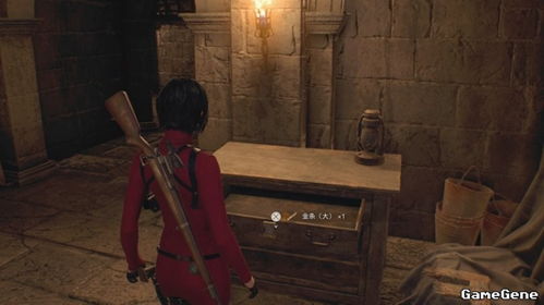 《生化4重制版》艾达王DLC逆命殊途攻略:全支线+收集秘籍曝光 《生化4重制版》艾达王DLC逆命殊途攻略:全支线+收集秘籍曝光