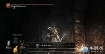 《暗黑4》恶魔玫瑰高效攻略:遗魂收集秘籍速成 《暗黑4》恶魔玫瑰高效攻略:遗魂收集秘籍速成