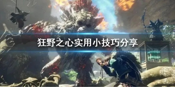 《狂野之心》兽珠速刷攻略:高效技巧揭秘! 《狂野之心》兽珠速刷攻略:高效技巧揭秘!