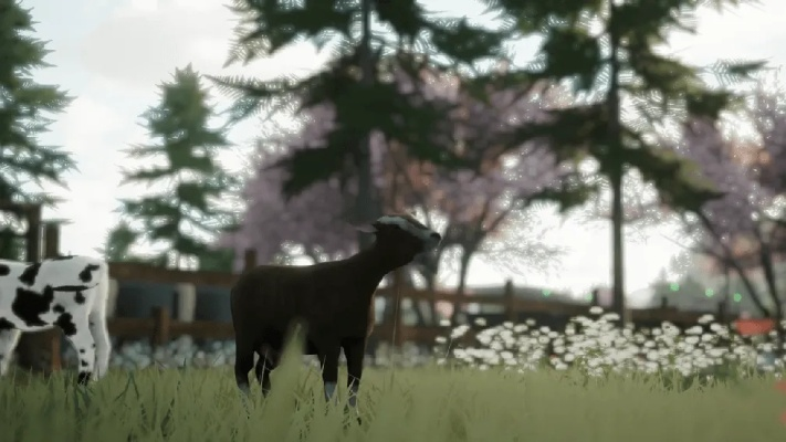 《风和日暖》预告曝光:沉浸式乡村农场生活模拟体验 《风和日暖》预告曝光:沉浸式乡村农场生活模拟体验