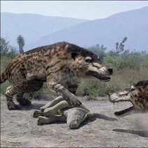 FGO兽阶解析:兽科特性详解与超实用Buff一览 FGO兽阶解析:兽科特性详解与超实用Buff一览