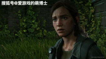 《最后的生还者2》:揭秘非开放世界背后的独特魅力 《最后的生还者2》:揭秘非开放世界背后的独特魅力