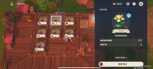 《原神》升炼攻略:研巧万策,金热销阶段必看秘籍 《原神》升炼攻略:研巧万策,金热销阶段必看秘籍