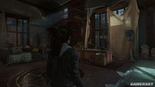 《古墓丽影崛起》血缘DLC攻略：全收集秘籍曝光