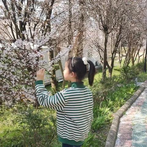 《樱花大战》新篇将至：经典再现，年度期待大作揭晓