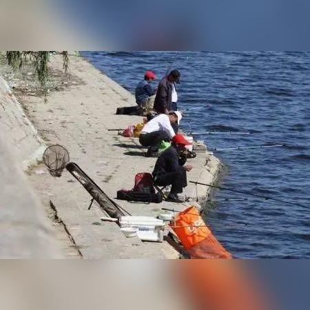 《樱飘雪垂钓秘籍:轻松掌握钓鱼大师技巧》 《樱飘雪垂钓秘籍:轻松掌握钓鱼大师技巧》