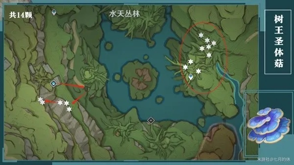 《原神》柯莱树王圣体菇速刷攻略,高效采集路线曝光 《原神》柯莱树王圣体菇速刷攻略,高效采集路线曝光