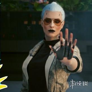 《赛博2077》公寓猫养成攻略：轻松养出萌宠猫主子