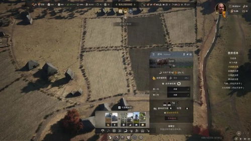 《庄园领主攻略》：新手必看，快速上手技巧揭秘