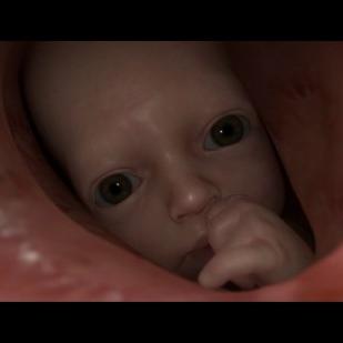 《死亡搁浅》弩哥怀中神秘孩童:失落面纱下的诡异真相 《死亡搁浅》弩哥怀中神秘孩童:失落面纱下的诡异真相