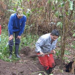 《铲子骑士墨西哥英雄混战》STEAM特惠，限时抢购！