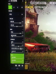 《绝地求生》N卡滤镜攻略：轻松掌握N卡滤镜使用技巧