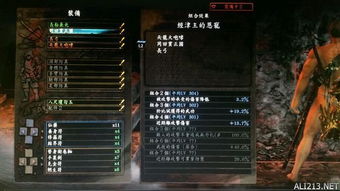 《仁王武器技能全解析》独家视频曝光