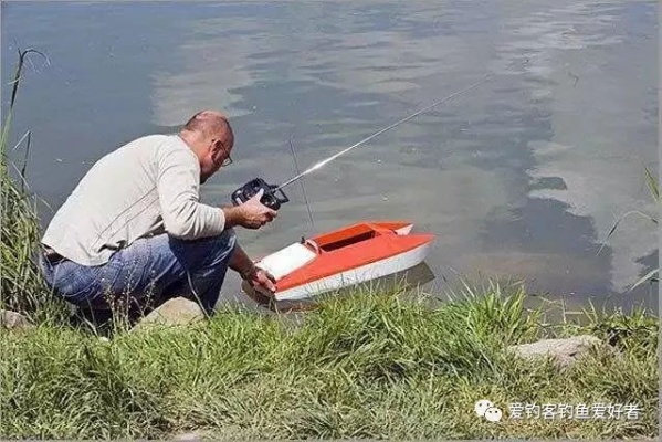 《莱恩岛钓鱼秘籍：新手必看生存技巧》