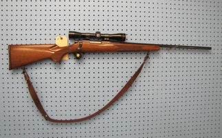 《辐射4》杠杆步枪攻略:轻松掌握射击技巧 《辐射4》杠杆步枪攻略:轻松掌握射击技巧