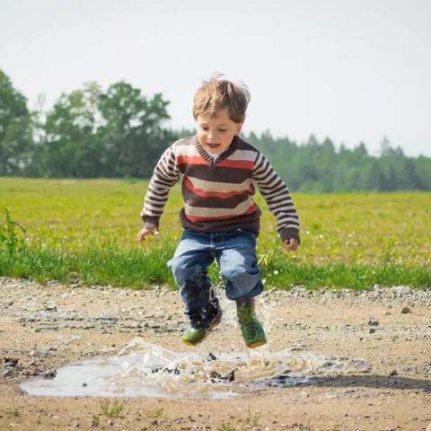 《植物大战僵尸2》能量豆全植物大揭秘!一豆多用攻略! 《植物大战僵尸2》能量豆全植物大揭秘!一豆多用攻略!