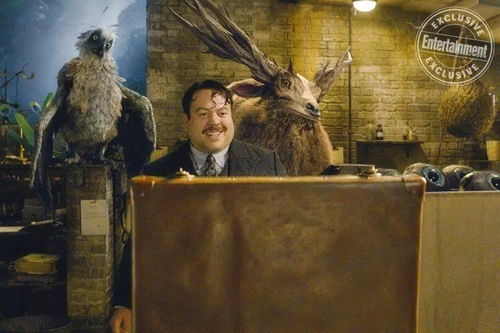 《巫师3》绝美截图揭秘!艺术画赏心悦目,独家首曝! 《巫师3》绝美截图揭秘!艺术画赏心悦目,独家首曝!