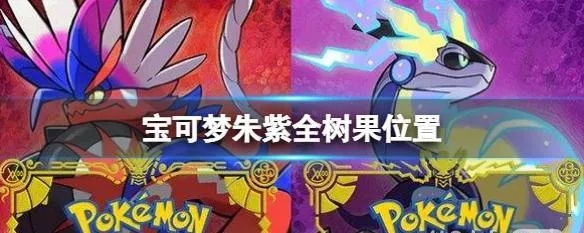 《宝可梦朱紫》秘传调味料攻略：轻松收集全秘籍