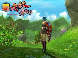 《新武林群侠传》3D截图曝光:高清画面惊艳来袭! 《新武林群侠传》3D截图曝光:高清画面惊艳来袭!