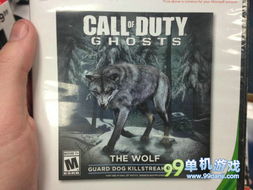 《使命召唤10:幽灵》IGN评测:经典重燃,新瓶装旧酒 《使命召唤10:幽灵》IGN评测:经典重燃,新瓶装旧酒