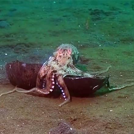 《堡垒之夜》第十周电影片名挑战攻略:速破谜题! 《堡垒之夜》第十周电影片名挑战攻略:速破谜题!