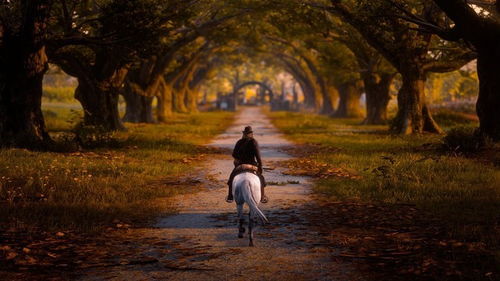 《荒野大镖客2》BAFTA续作荣耀加冕,无冕之王终登巅峰 《荒野大镖客2》BAFTA续作荣耀加冕,无冕之王终登巅峰