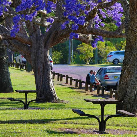 《山谷Vally》新截图曝光:生死存亡,一触即发! 《山谷Vally》新截图曝光:生死存亡,一触即发!