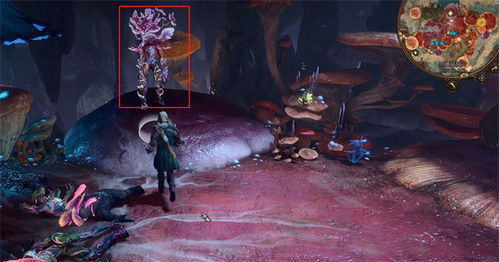 《博德之门3》蕈人王庇护永久BUFF攻略揭秘