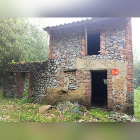 《碧之轨迹》特典大揭秘:零轨存档无缝继承,畅玩新篇章! 《碧之轨迹》特典大揭秘:零轨存档无缝继承,畅玩新篇章!