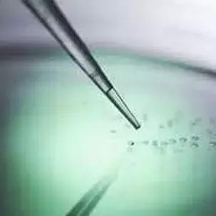 《原子之心》啁啾表位置速查攻略!快速找到啁啾表 《原子之心》啁啾表位置速查攻略!快速找到啁啾表