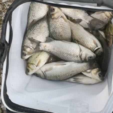 《炉石传说》土灵骑卡组攻略:实战解析,制胜之道揭秘 《炉石传说》土灵骑卡组攻略:实战解析,制胜之道揭秘