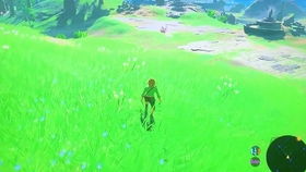 《旷野之息》静止器:揭秘我的生活大变样! 《旷野之息》静止器:揭秘我的生活大变样!