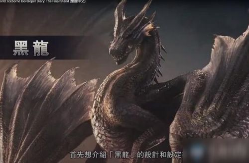 《冰原黑龙猎杀攻略：掌握黑龙招式全解析》