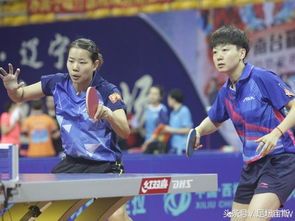 《宝可梦朱紫》双打强队推荐:搭档必选精灵盘点 《宝可梦朱紫》双打强队推荐:搭档必选精灵盘点