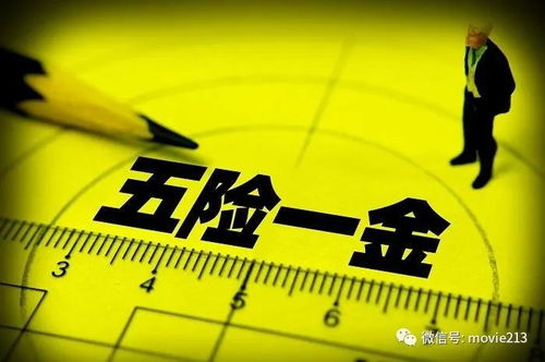京东,为外卖骑手缴纳五险一金 行业首个!这跟咱玩家有啥关系? 京东,为外卖骑手缴纳五险一金 行业首个!这跟咱玩家有啥关系?