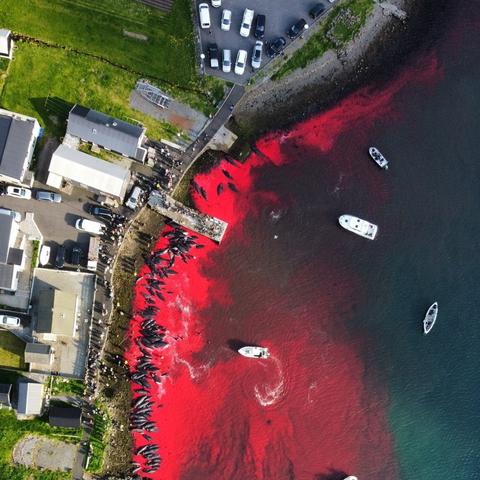 《死亡搁浅》枪战体验升级：感受射击新境界