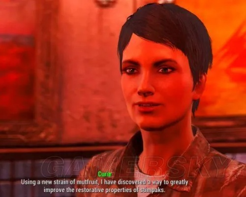 《辐射4》隐藏学霸角色大盘点：发音识别大揭秘