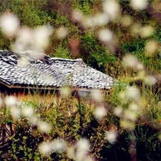 《记忆边境》传说位置揭秘:高效收集攻略全解析 《记忆边境》传说位置揭秘:高效收集攻略全解析