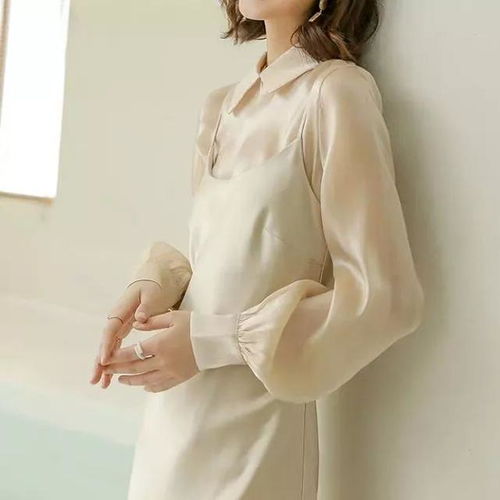 《绝区零》丽娜培养攻略:高效出装搭配技巧揭秘 《绝区零》丽娜培养攻略:高效出装搭配技巧揭秘