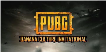 腾讯PUBG三款新游来袭,企鹅电竞5000万招募主播!抢鲜加入! 腾讯PUBG三款新游来袭,企鹅电竞5000万招募主播!抢鲜加入!