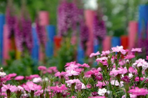 《勿忘我》通关大揭秘!法国出版商独家评分曝光 《勿忘我》通关大揭秘!法国出版商独家评分曝光