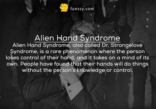 《卧龙内丹奇获法:揭秘怪异获取途径》 《卧龙内丹奇获法:揭秘怪异获取途径》