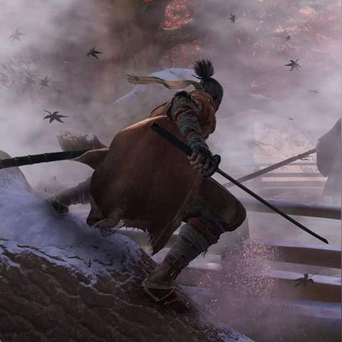 《只狼PC版拍照模式来袭!捕捉影逝瞬间》 《只狼PC版拍照模式来袭!捕捉影逝瞬间》