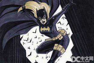 《小丑女逆袭！罗宾营救小蝙蝠侠大揭秘》