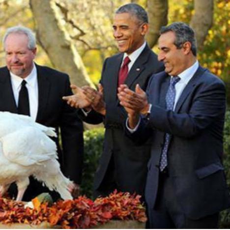 《赦免者》评测8.0分:乌鸦坐飞机,游戏体验大揭秘! 《赦免者》评测8.0分:乌鸦坐飞机,游戏体验大揭秘!