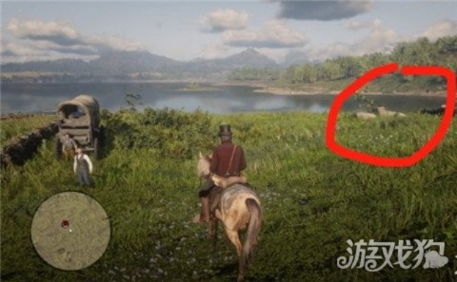 《荒野大镖客2》动物毛皮快速获取攻略，轻松解锁完美皮毛！