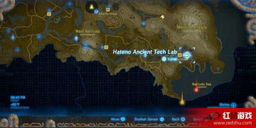 《塞尔达传说》荒野抓鸡攻略:全鸡位分布揭秘 《塞尔达传说》荒野抓鸡攻略:全鸡位分布揭秘