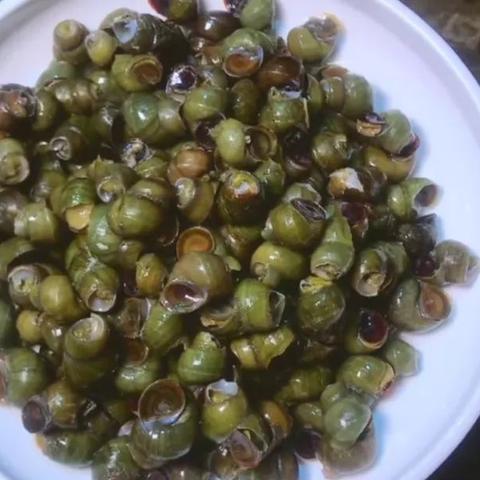 《丝之歌》试玩体验:深度探索战斗与内容盛宴 《丝之歌》试玩体验:深度探索战斗与内容盛宴